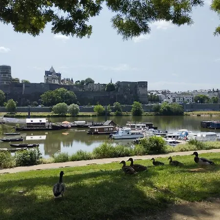 La Toue Belle De Maine - Bateau Traditionnel De La Loire Angers